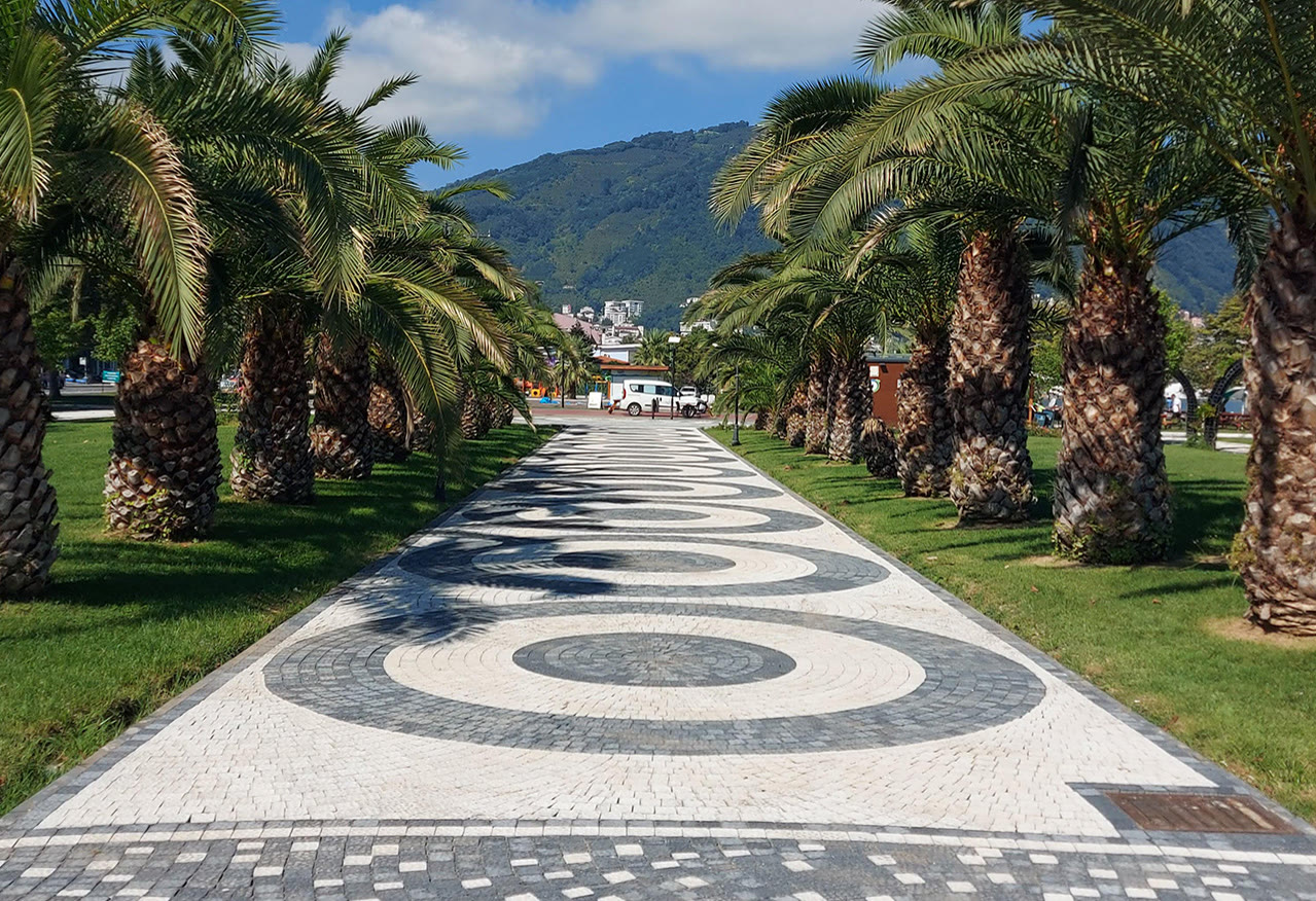 Palmiye ağaçları boyunca uzanan desenli taş yol