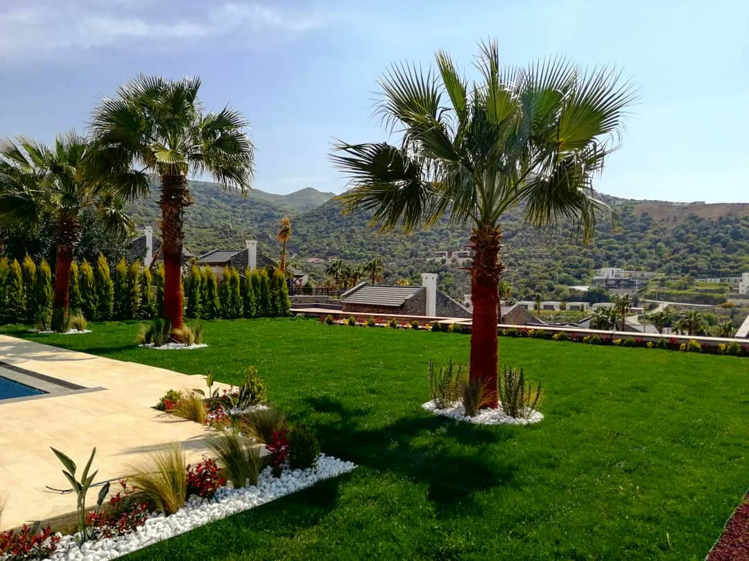 Yeşil alanlar ve yürüyüş yollarıyla düzenlenmiş modern peyzaj örneği